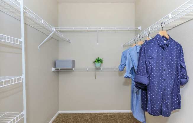 Walk-In Closets With Built-In Shelving at The Presidio by Picerne, Nevada, 89084