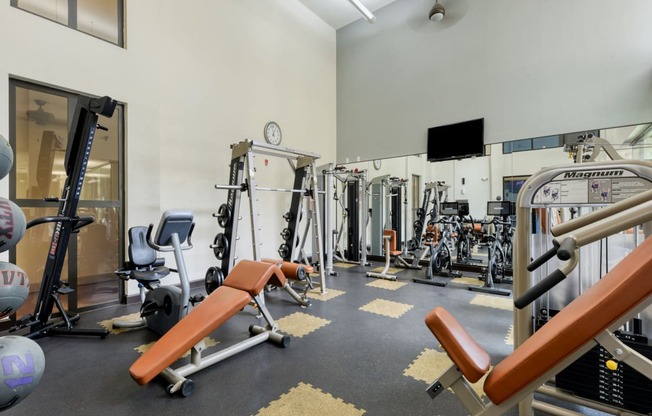 a gym with weights and cardio equipment and a tv