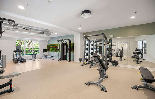 A spacious gym with a variety of equipment.