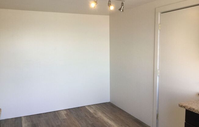 Studio, 1 bath, 300 sqft, $975, Unit #302