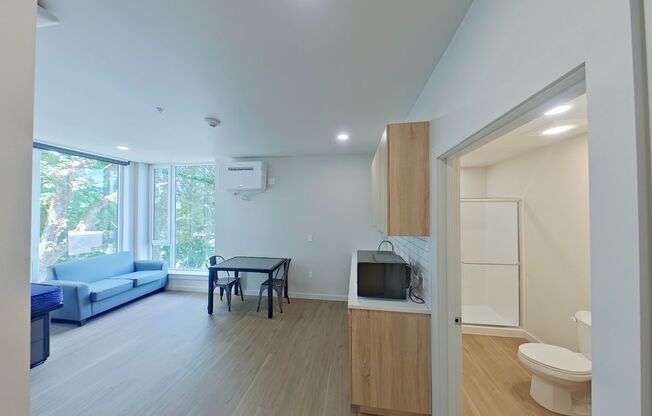 Studio, 1 bath, 314 sqft, $1,225, Unit 301