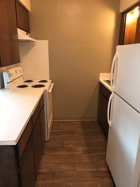 1 bed, 1 bath, 500 sqft, $900, Unit 11