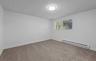 A room with a carpeted floor and a window with a view of trees.