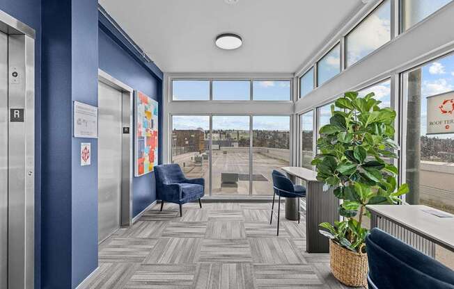 A view of a hallway with a chair and a plant.