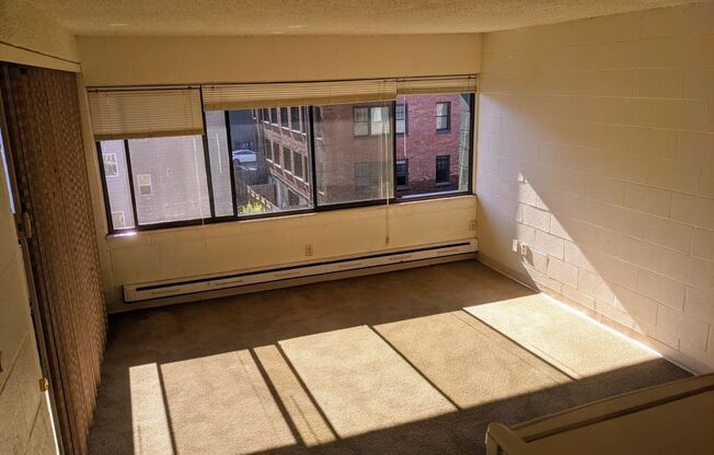 Studio, 1 bath, 302 sqft, $1,100, Unit 104