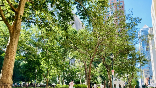 Rittenhouse Square Park