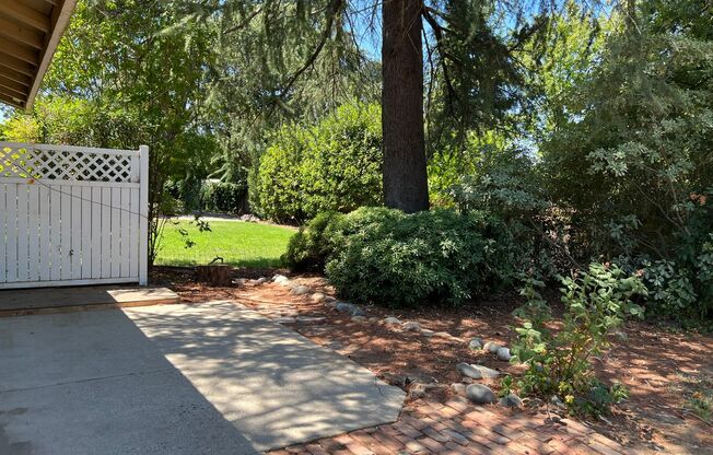 Great 1 bedroom 1 bathroom cottage on wooded lot in Citrus Heights
