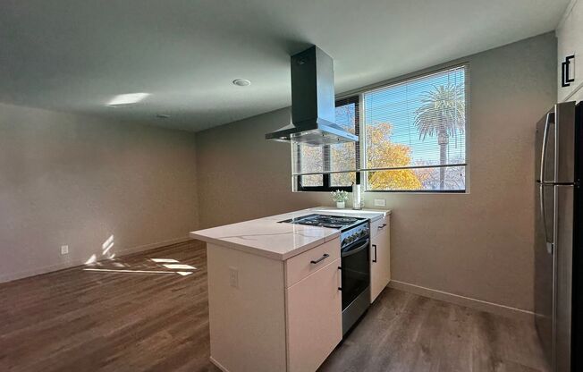 Studio, 1 bath, 425 sqft, $1,650, Unit 201