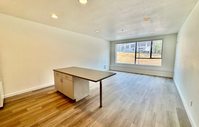$250 off First Month's Rent!!!! Downtown Condo with City View!!