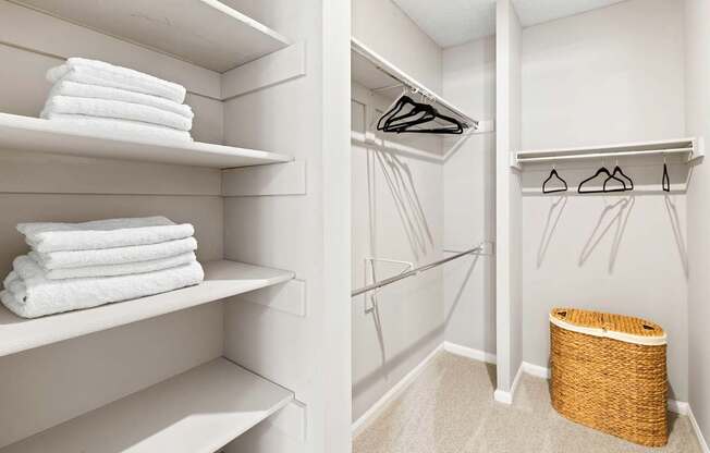 Spacious closets - Evergreen Lenox Park