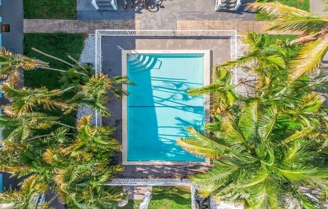 Beezy - 1751 NE 31 St