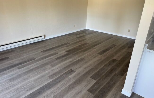 1 bed, 1 bath, 660 sqft, $1,795, Unit 316