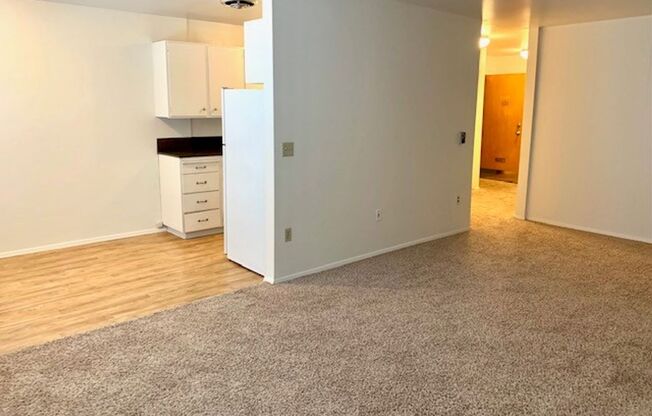 1 bed, 1 bath, 720 sqft, $1,645, Unit 101