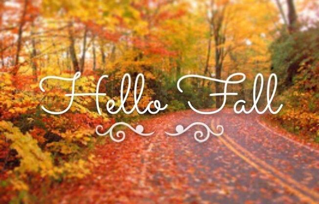 Farmington Apartments