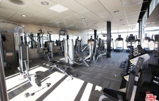 1 bed, 1 bath, 750 sqft, $2,500, Unit 1711