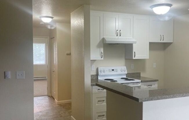 Park 5 Apartments