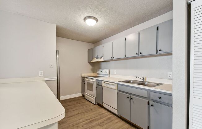 1 bed, 1 bath, $1,500, Unit #303