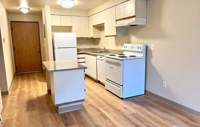 1 bed, 1 bath, 535 sqft, $1,350, Unit 1-105