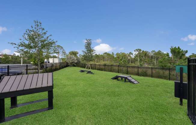 Dog park at AxisOne, Florida, 34994