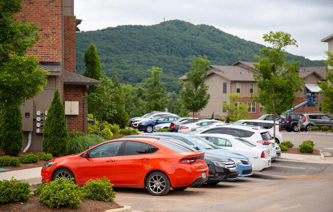 Walton Ridge Apartment Homes - Kennesaw Mountain Views