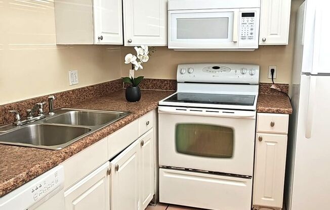 Charming 1B/1B Condo – North Bay Village, Tampa (Rent-to-Own)