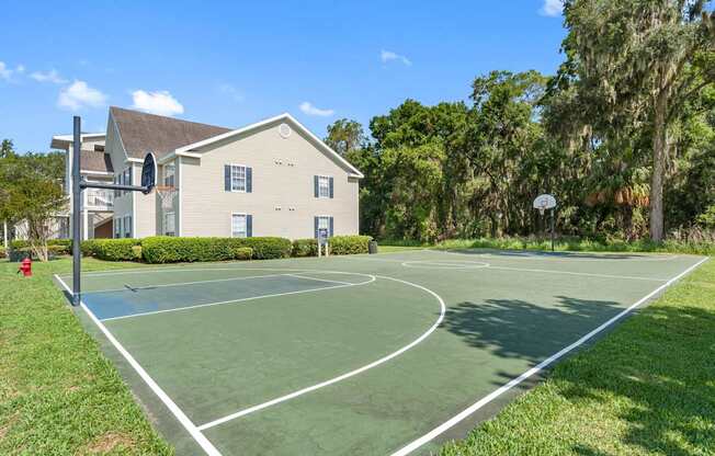 Basketball Court