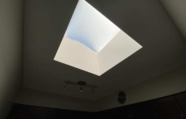 Skylight