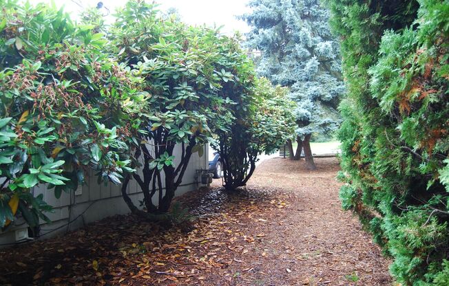 Charming 2 Bedroom 1.5 Bathroom in Tigard