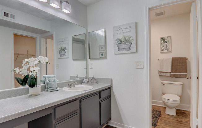 Furnished apartment interior