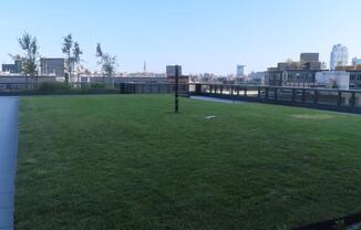 1 bed, 1 bath, $3,900, Unit 546