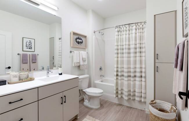 Master Bathroom With Large Vanity Area  at The Hill Apartments, Saint Paul, 55102