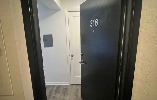 Studio, 1 bath, 411 sqft, $1,150, Unit 316