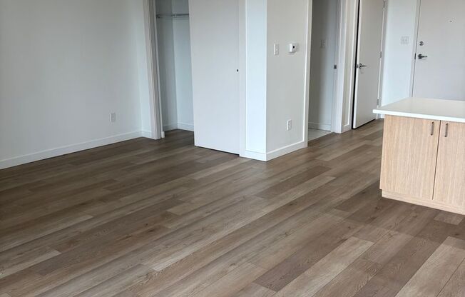 Studio, 1 bath, 580 sqft, $1,395, Unit 107