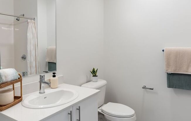 1 bed, 1 bath, 400 sqft, $1,350, Unit 409