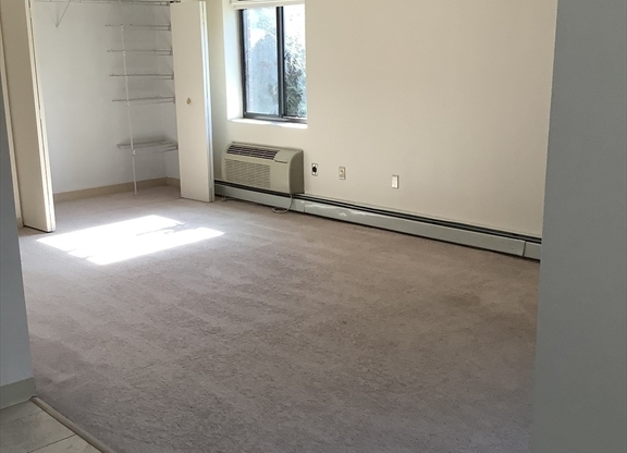 1 bed, 1 bath, 780 sqft, $2,195, Unit 302