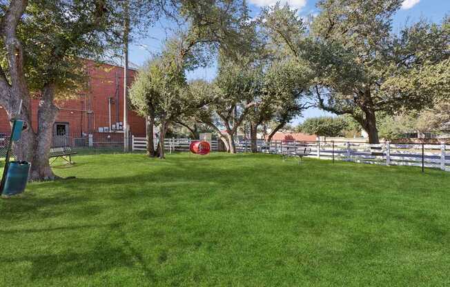 A green lawn with trees and a fence in the background.
