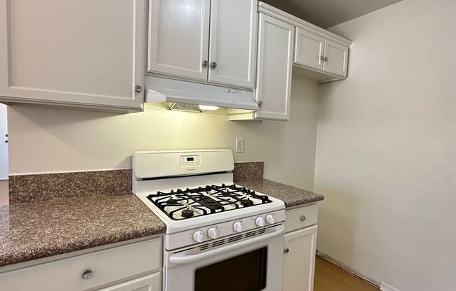 1 bed, 1 bath, 800 sqft, $1,750