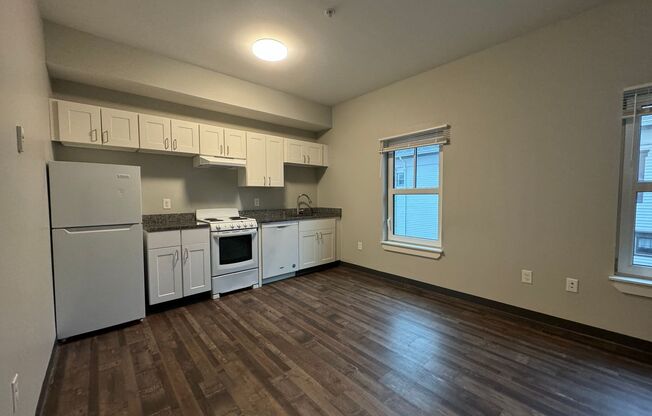 Studio, 1 bath, 420 sqft, $1,600, Unit 204