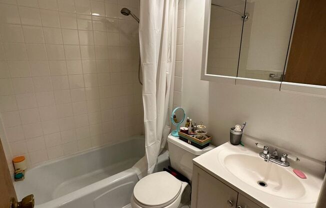 Studio, 1 bath, $1,485, Unit 366