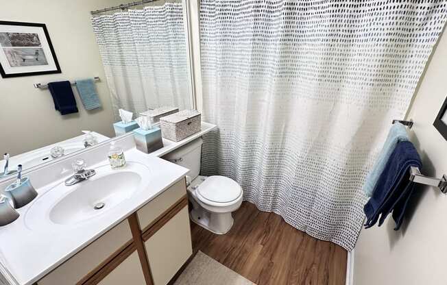 a bathroom with a sink and a toilet and a shower
