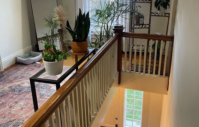 Amherst Woods Apartments