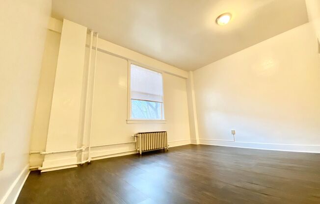 Studio, 1 bath, 330 sqft, $1,095, Unit 103