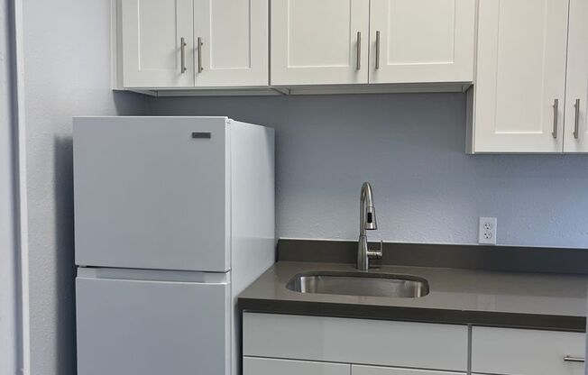 Studio, 1 bath, 315 sqft, $1,250, Unit 103