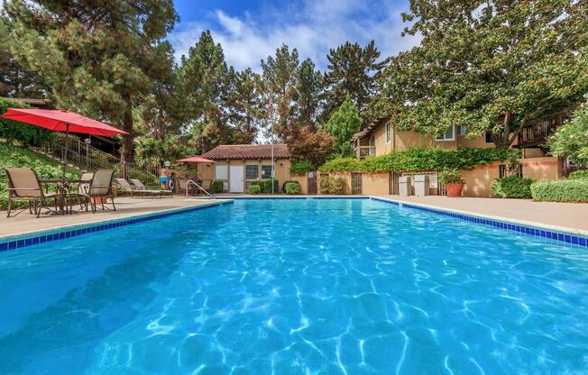 A swimming pool surrounded by trees and a house.