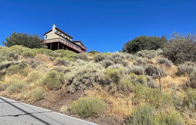 Bear Valley 4 bdrm breathtaking views!