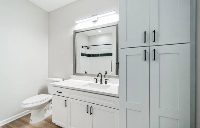 a bathroom with a sink and a toilet and a mirror