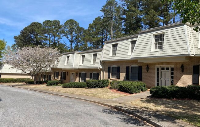Georgetown Village
