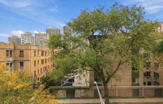 Studio, 1 bath, 207 sqft, $1,495, Unit 302