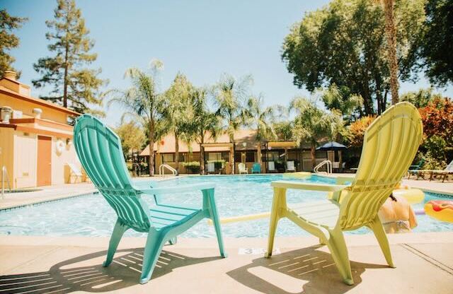 Two chairs and tall trees around the Cranbrook pool.