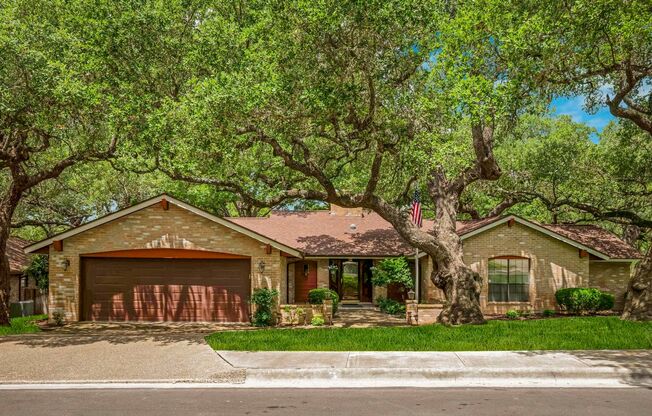 GORGEOUS OAK FOREST SINGLE-STORY HOME